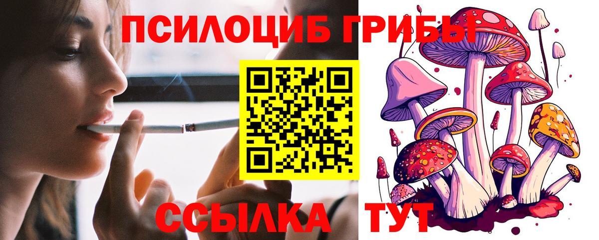 Галлюциногенные грибы MAGIC MUSHROOMS Заинск